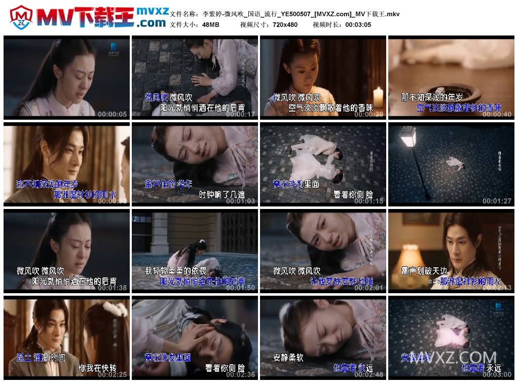 李紫婷-微风吹_国语_流行_YE500507